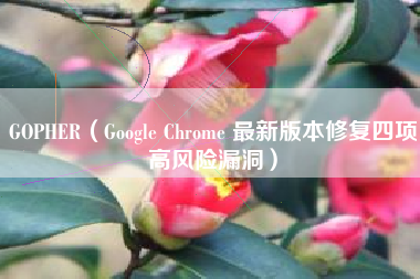GOPHER（Google Chrome 最新版本修复四项高风险漏洞）