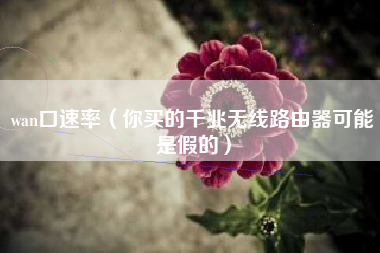 wan口速率(你买的千兆无线路由器可能是假的)
