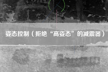 姿态控制（拒绝“高姿态”的减震器）