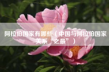 阿拉伯国家有哪些（中国与阿拉伯国家关系“之最”）