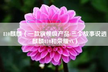 810麒麟（一款旗舰级产品:三个故事说透麒麟810和荣耀9X）