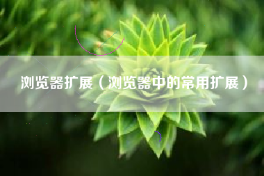 浏览器扩展（浏览器中的常用扩展）