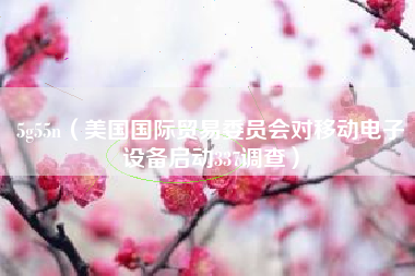 5g55n(美国国际贸易委员会对移动电子设备启动337调查)