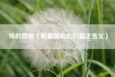 殇的意思（爱慕随风起的真正含义）