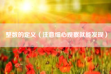 整数的定义（注意细心观察就能发现）