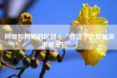 网咖和网吧的区别(“耍这个之后脑袋里都是它”)