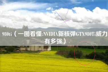980ti（一图看懂:NVIDIA新核弹GTX980Ti威力有多强）