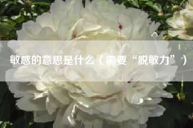 敏感的意思是什么(需要“脱敏力”)