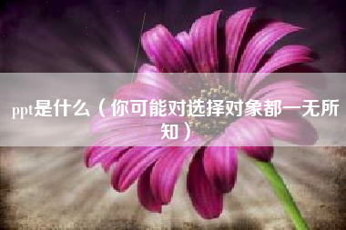 ppt是什么（你可能对选择对象都一无所知）