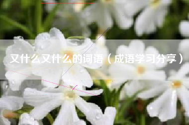 又什么又什么的词语（成语学习分享）