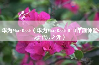 华为MateBook（华为MateBook D 14评测体验:十代i7之外）