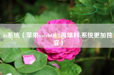 os系统(苹果watchOS 8再爆料:系统更加独立)