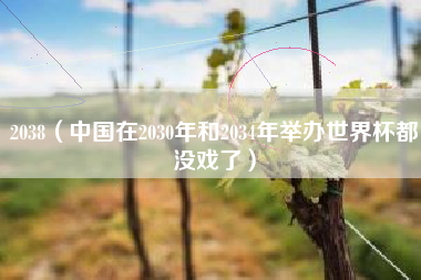 2038(中国在2030年和2034年举办世界杯都没戏了)