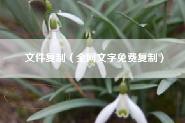文件复制（全网文字免费复制）