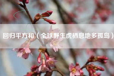 回归平方和(全球野生虎栖息地多孤岛)