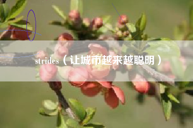 strides(让城市越来越聪明)