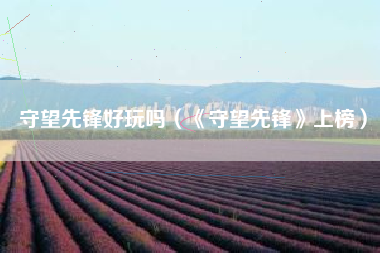 守望先锋好玩吗(《守望先锋》上榜)