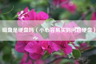 磁盘是硬盘吗（小心容易买到问题硬盘）