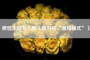 微信主题怎么换（能开启“黑暗模式”）