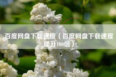 百度网盘下载速度（百度网盘下载速度提升100倍）