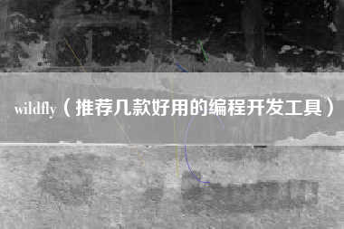 wildfly（推荐几款好用的编程开发工具）