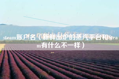 steam账户名（新鲜出炉的蒸汽平台和Steam有什么不一样）