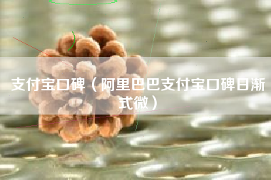 支付宝口碑(阿里巴巴支付宝口碑日渐式微)