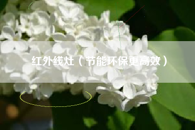 红外线灶(节能环保更高效)