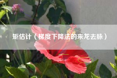 矩估计（梯度下降法的来龙去脉）