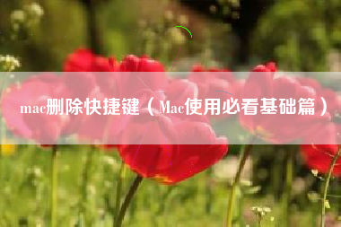 mac删除快捷键（Mac使用必看基础篇）