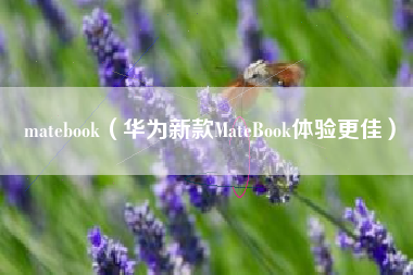 matebook(华为新款MateBook体验更佳)
