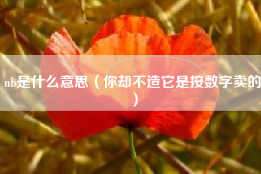 nb是什么意思（你却不造它是按数字卖的）