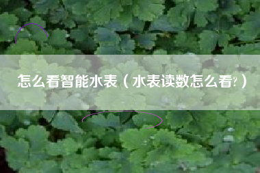 怎么看智能水表（水表读数怎么看?）