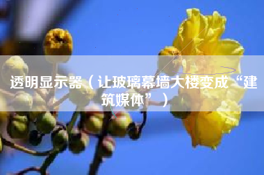 透明显示器（让玻璃幕墙大楼变成“建筑媒体”）
