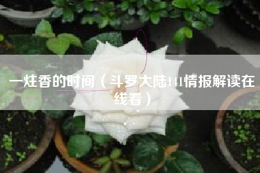 一炷香的时间(斗罗大陆141情报解读在线看)