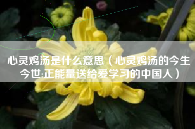详细阅读:心灵鸡汤是什么意思(心灵鸡汤的今生今世:正能量送给爱学习的中国人) 心灵鸡汤是什么意思(心灵鸡汤的今生今世:正能量送给爱学习的中国人)