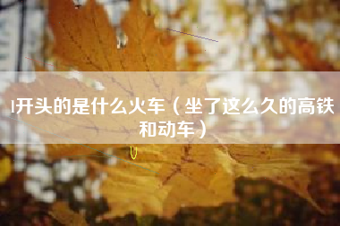 l开头的是什么火车(坐了这么久的高铁和动车)