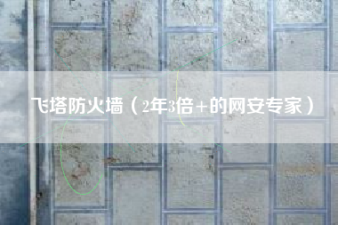 飞塔防火墙（2年3倍+的网安专家）
