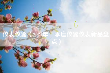仪表仪器（2021年一季度仪器仪表新品盘点）