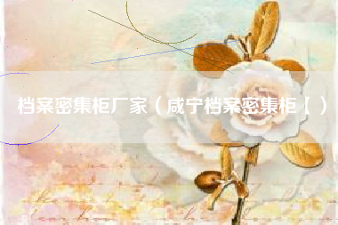 档案密集柜厂家(咸宁档案密集柜【)
