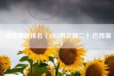 足球世界排名(FIFA男足前二十:巴西第一)