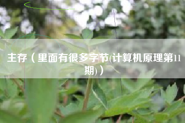 主存（里面有很多字节(计算机原理第11期)）