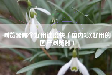 浏览器哪个好用速度快（国内5款好用的国产浏览器）