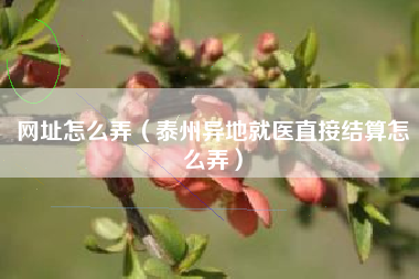 网址怎么弄(泰州异地就医直接结算怎么弄)