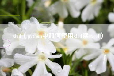 xlrd（python中如何使用xlrd读excel）