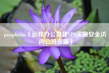 passphrase（远程办公自建VPN实现安全访问公司资源）