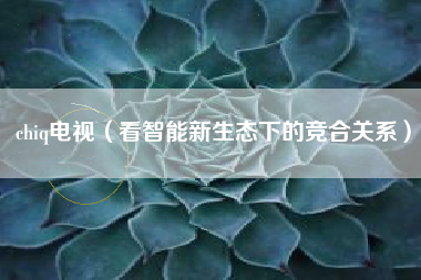 chiq电视(看智能新生态下的竞合关系)