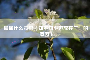 懵懂什么意思(却不知小琪放弃三一的原因)