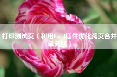 打印测试页（利用Excel插件优化跨页合并单元格）