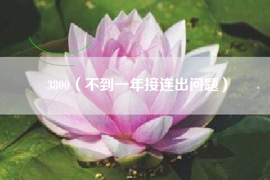 3800（不到一年接连出问题）